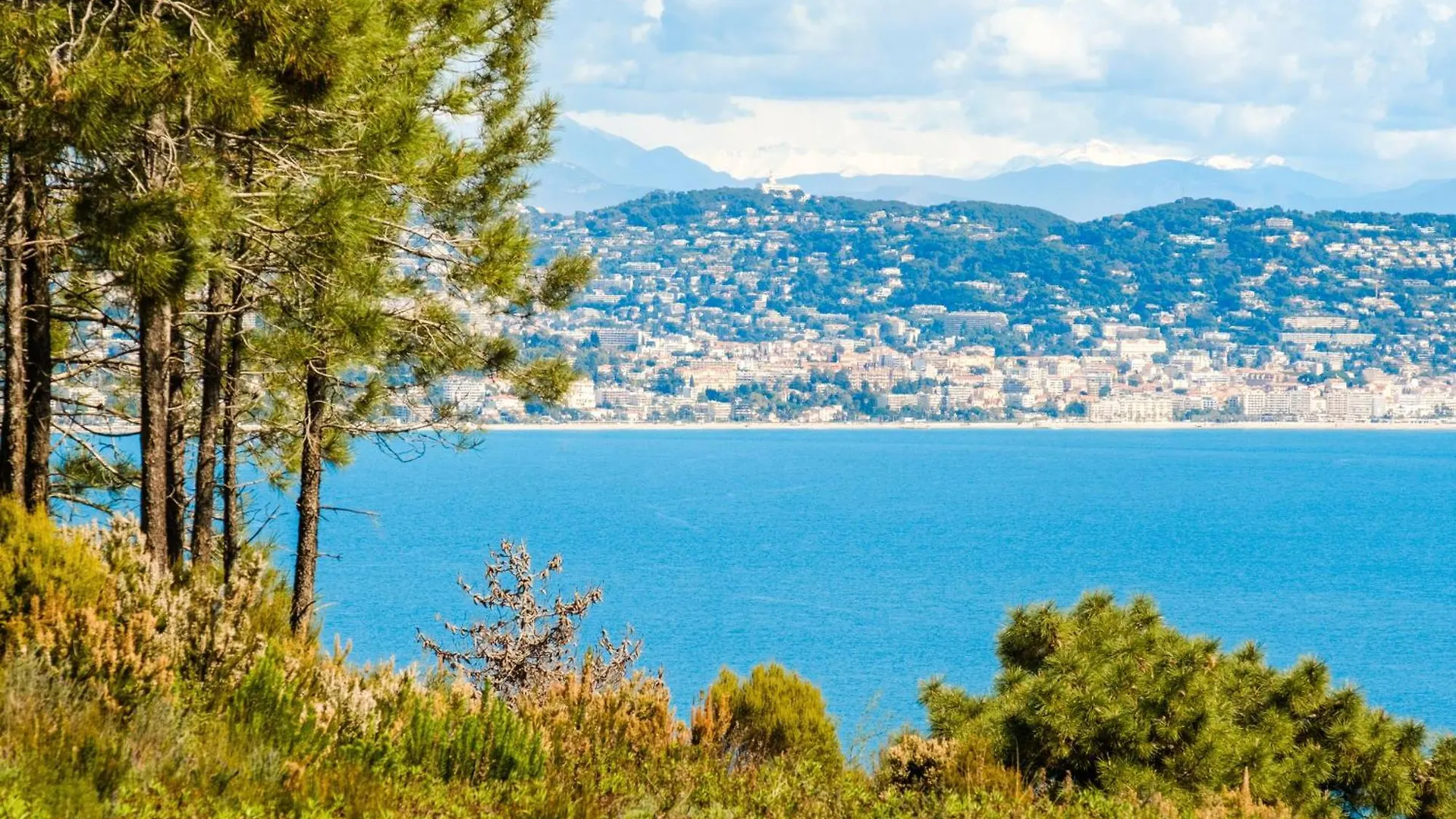 Charmant T2 Entre Mer Et Montagne Theoule-sur-Mer Apartment
