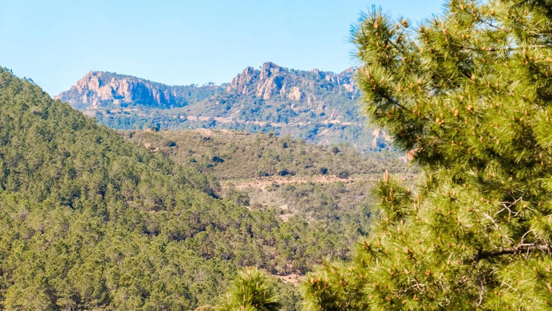 Charmant T2 Entre Mer Et Montagne Theoule-sur-Mer